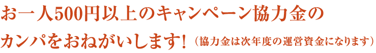 お一人500円以上のキャンペーン協力金の カンパをおねがいします!