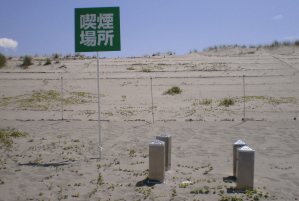 contents_map_photo14